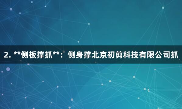 2. **侧板撑抓**:侧身撑北京初剪科技有限公司抓