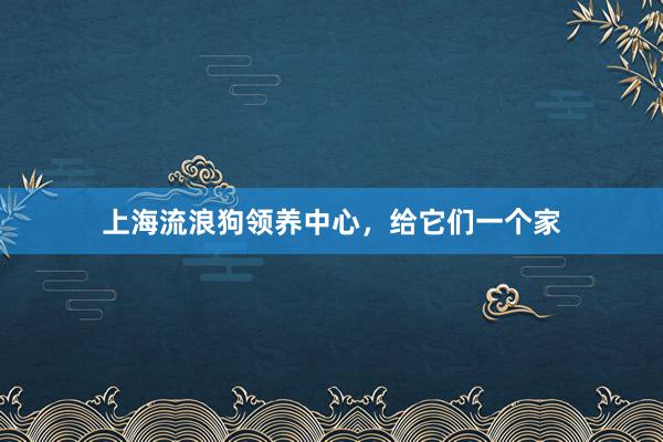 上海流浪狗领养中心，给它们一个家