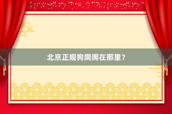 北京正规狗阛阓在那里？
